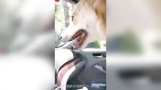 Gracie Greyyxo Baby Face White Skin OnlyFans Leaked Amateur Porn Video 150