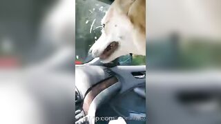 Gracie Greyyxo Baby Face White Skin OnlyFans Leaked Amateur Porn Video 150