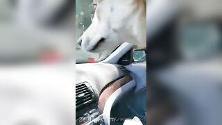 Gracie Greyyxo Baby Face White Skin OnlyFans Leaked Amateur Porn Video 150