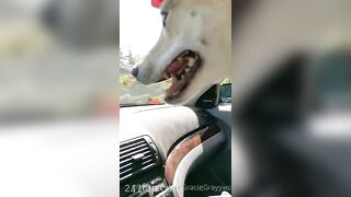 Gracie Greyyxo Baby Face White Skin OnlyFans Leaked Amateur Porn Video 150