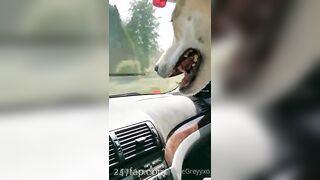 Gracie Greyyxo Baby Face White Skin OnlyFans Leaked Amateur Porn Video 150