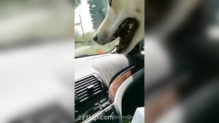 Gracie Greyyxo Baby Face White Skin OnlyFans Leaked Amateur Porn Video 150