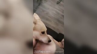 Gracie Greyyxo Baby Face White Skin OnlyFans Leaked Amateur Porn Video 174