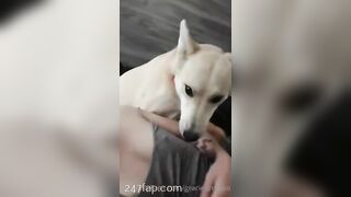 Gracie Greyyxo Baby Face White Skin OnlyFans Leaked Amateur Porn Video 174