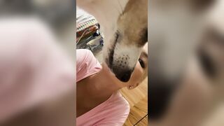 My_katti_colour (Katti Colour) OnlyFans Leaks Pro Model 5