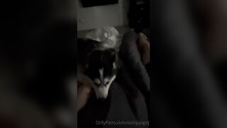 Rhrpaige (Paige J.) OnlyFans Leaks slutty little comedic nympho gamer girlfriend 39