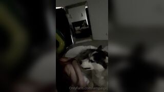 Rhrpaige (Paige J.) OnlyFans Leaks slutty little comedic nympho gamer girlfriend 39