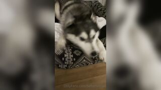 Hellomeime (Mei Minato) OnlyFans College Girl to earn and pay for tuition 31