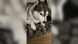 Hellomeime (Mei Minato) OnlyFans College Girl to earn and pay for tuition 31