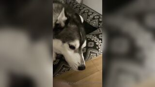 Hellomeime (Mei Minato) OnlyFans College Girl to earn and pay for tuition 31