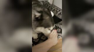 Hellomeime (Mei Minato) OnlyFans College Girl to earn and pay for tuition 31