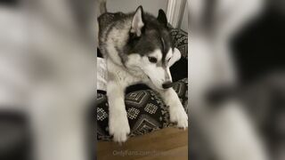 Hellomeime (Mei Minato) OnlyFans College Girl to earn and pay for tuition 31