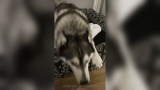 Hellomeime (Mei Minato) OnlyFans College Girl to earn and pay for tuition 31