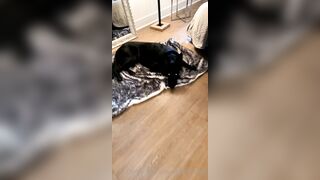 Nicollesnow (Nicolle Snow) OnlyFans Leaks Certified Sweetheart is a SQUIRT QUEEN 327