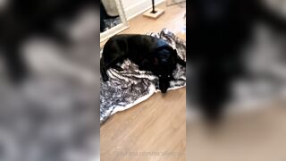 Nicollesnow (Nicolle Snow) OnlyFans Leaks Certified Sweetheart is a SQUIRT QUEEN 327