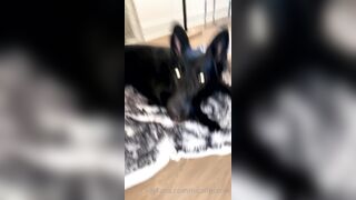 Nicollesnow (Nicolle Snow) OnlyFans Leaks Certified Sweetheart is a SQUIRT QUEEN 327