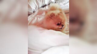 Dana Hamm (Danahamm) OnlyFans Leaks Guilty Pleasure of her kinky side 34DDD BOOBS 48