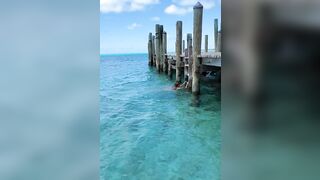 Dana Hamm (Danahamm) OnlyFans Leaks Guilty Pleasure of her kinky side 34DDD BOOBS 109