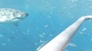 Dana Hamm (Danahamm) OnlyFans Leaks Guilty Pleasure of her kinky side 34DDD BOOBS 91