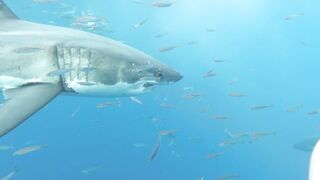 Dana Hamm (Danahamm) OnlyFans Leaks Guilty Pleasure of her kinky side 34DDD BOOBS 91