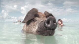 Dana Hamm (Danahamm) OnlyFans Leaks Guilty Pleasure of her kinky side 34DDD BOOBS 94