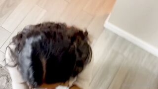 Daaania_ (Dania Vega) OnlyFans Leaks Charming and Skinny Latina 207