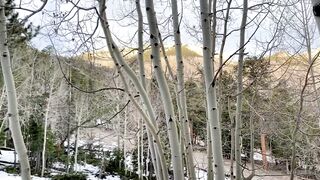 Daaania_ (Dania Vega) OnlyFans Leaks Charming and Skinny Latina 222