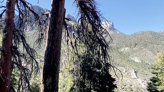 Daaania_ (Dania Vega) OnlyFans Leaks Charming and Skinny Latina 214