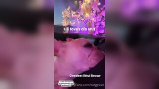 Tattooed Waifu (undersiegexo) OnlyFans Leaks siegexxx Natural Tiddies 108