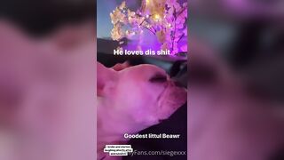 Tattooed Waifu (undersiegexo) OnlyFans Leaks siegexxx Natural Tiddies 108