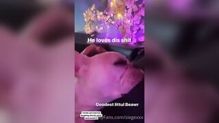 Tattooed Waifu (undersiegexo) OnlyFans Leaks siegexxx Natural Tiddies 108