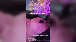 Tattooed Waifu (undersiegexo) OnlyFans Leaks siegexxx Natural Tiddies 108