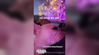 Tattooed Waifu (undersiegexo) OnlyFans Leaks siegexxx Natural Tiddies 108