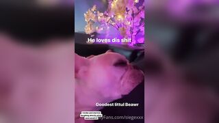 Tattooed Waifu (undersiegexo) OnlyFans Leaks siegexxx Natural Tiddies 108