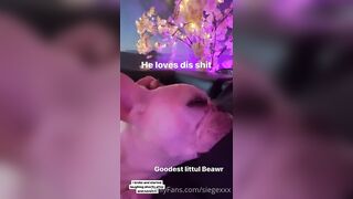 Tattooed Waifu (undersiegexo) OnlyFans Leaks siegexxx Natural Tiddies 108