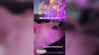 Tattooed Waifu (undersiegexo) OnlyFans Leaks siegexxx Natural Tiddies 108