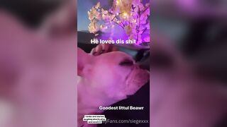 Tattooed Waifu (undersiegexo) OnlyFans Leaks siegexxx Natural Tiddies 108