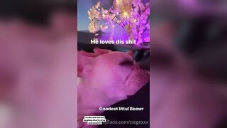 Tattooed Waifu (undersiegexo) OnlyFans Leaks siegexxx Natural Tiddies 108