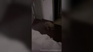 Tattooed Waifu (undersiegexo) OnlyFans Leaks siegexxx Natural Tiddies 40