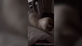 Tattooed Waifu (undersiegexo) OnlyFans Leaks siegexxx Natural Tiddies 40