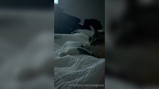 Tattooed Waifu (undersiegexo) OnlyFans Leaks siegexxx Natural Tiddies 40