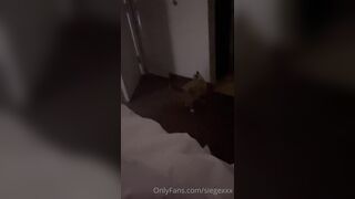 Tattooed Waifu (undersiegexo) OnlyFans Leaks siegexxx Natural Tiddies 40