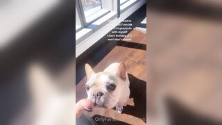 Tattooed Waifu (undersiegexo) OnlyFans Leaks siegexxx Natural Tiddies 107