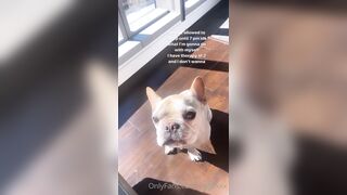 Tattooed Waifu (undersiegexo) OnlyFans Leaks siegexxx Natural Tiddies 107