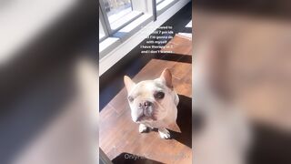 Tattooed Waifu (undersiegexo) OnlyFans Leaks siegexxx Natural Tiddies 107