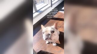 Tattooed Waifu (undersiegexo) OnlyFans Leaks siegexxx Natural Tiddies 107