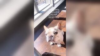 Tattooed Waifu (undersiegexo) OnlyFans Leaks siegexxx Natural Tiddies 107