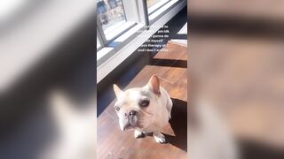 Tattooed Waifu (undersiegexo) OnlyFans Leaks siegexxx Natural Tiddies 107