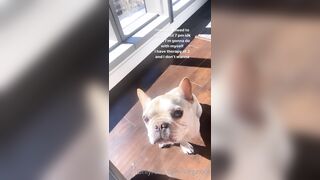 Tattooed Waifu (undersiegexo) OnlyFans Leaks siegexxx Natural Tiddies 107