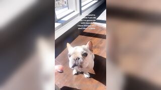 Tattooed Waifu (undersiegexo) OnlyFans Leaks siegexxx Natural Tiddies 107